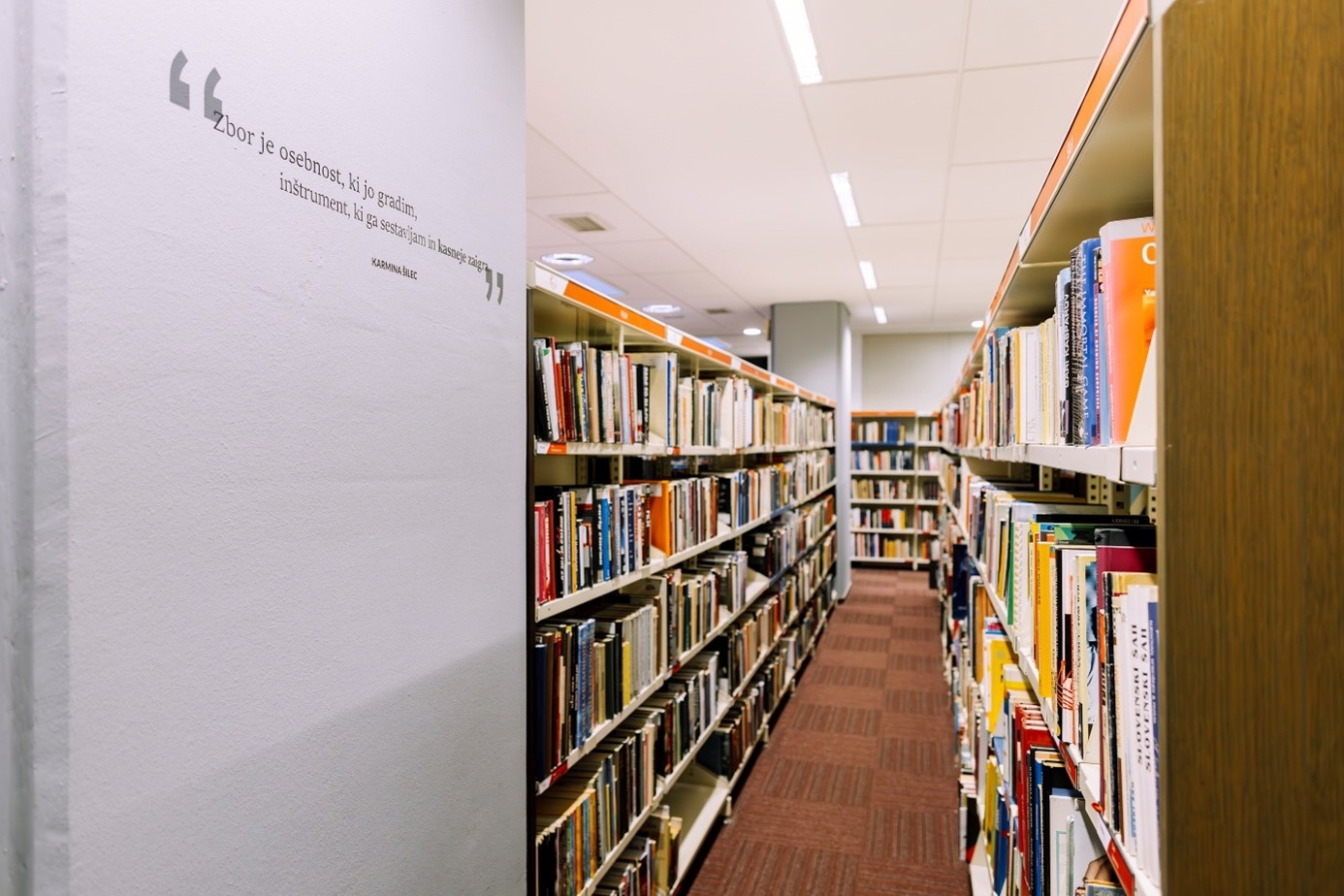 Among the Bookshelves