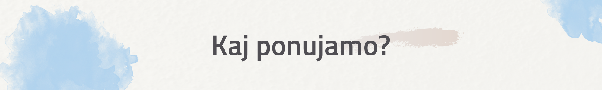 Kaj ponujamo?